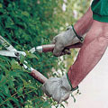 servizi di giardinaggio giardinaggio
